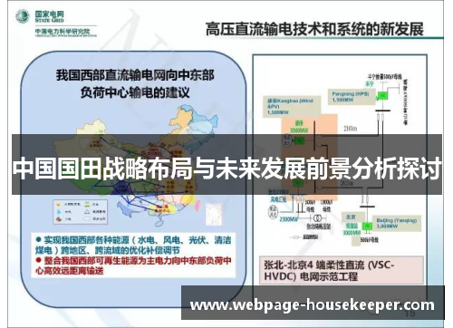 中国国田战略布局与未来发展前景分析探讨